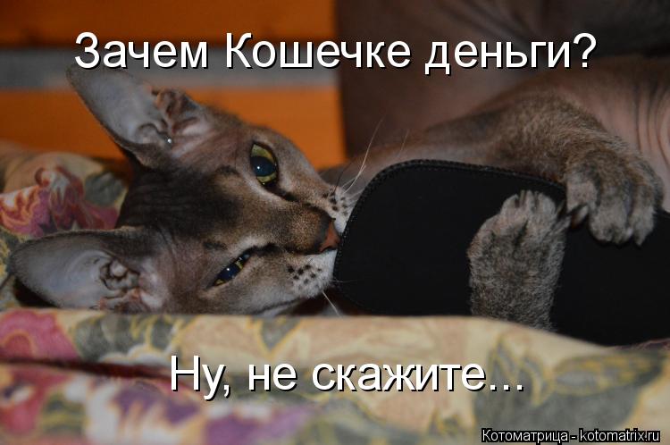 Зачем Кошечке деньги? Ну, не скажите...... Котоматрица: Зачем Кошечке деньги? Ну, не скажите...