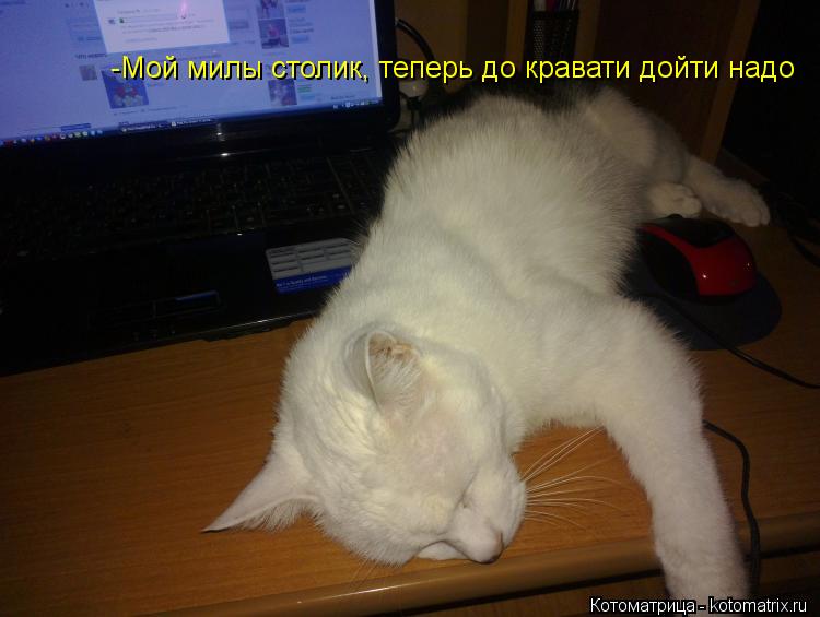 -Мой милы столик, теперь до кравати дойти надо... Котоматрица: -Мой милы столик, теперь до кравати дойти надо
