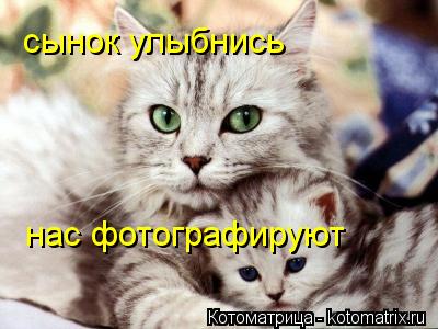 сынок улыбнись нас фотографируют... Котоматрица: сынок улыбнись нас фотографируют
