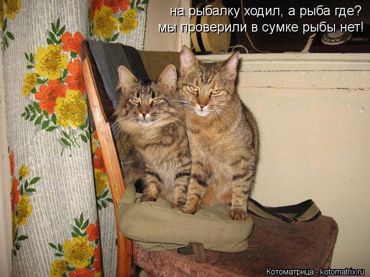 Котоматрица: на рыбалку ходил, а рыба где? мы проверили в сумке рыбы нет!