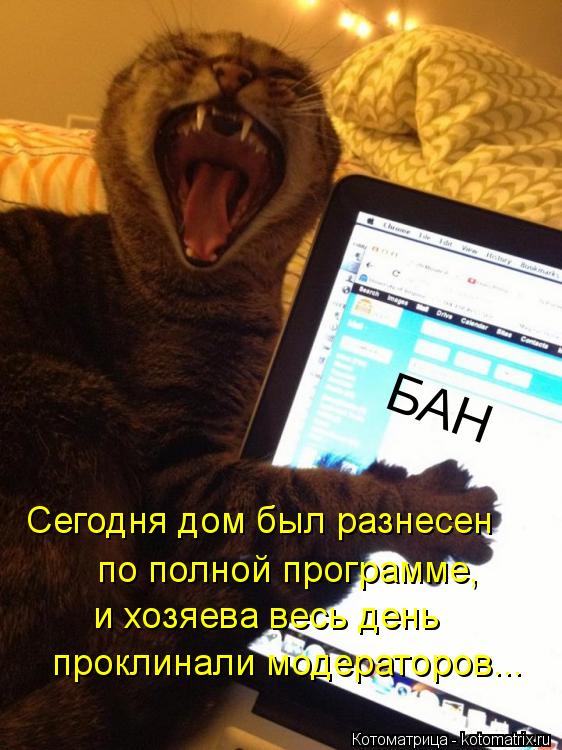 БАН Сегодня дом был разнесен по полной программе, и хозяева весь день проклинали модераторов...... Котоматрица: БАН Сегодня дом был разнесен по полной программе, и хозяева весь день проклинали модераторов...
