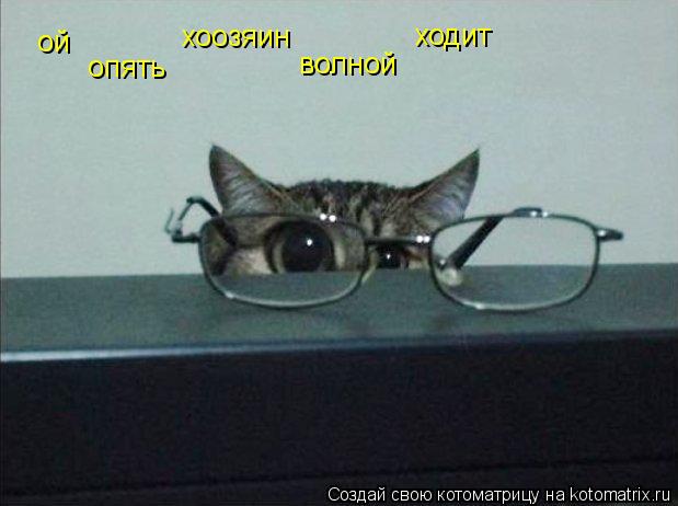 ой опять волной хоозяин ходит... Котоматрица: ой опять волной хоозяин ходит