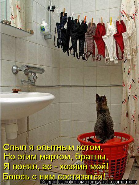 Слыл я опытным котом, Но этим мартом, братцы, Я понял, ас - хозяин мой! Боюсь с ним состязатся!...... Котоматрица: Слыл я опытным котом, Но этим мартом, братцы, Я понял, ас - хозяин мой! Боюсь с ним состязатся!...
