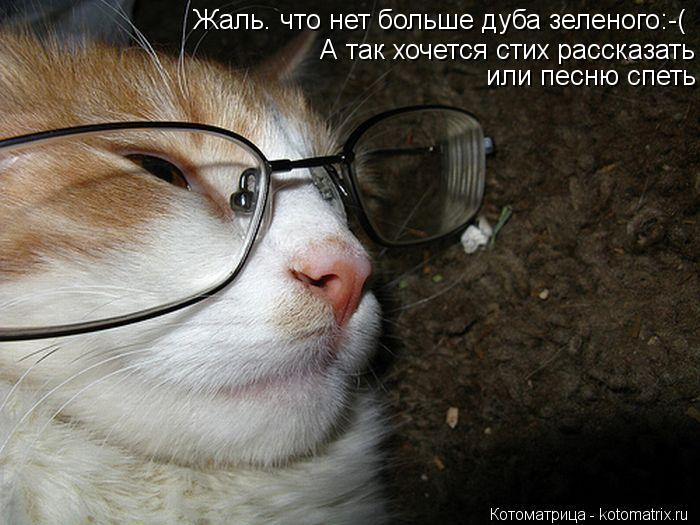 Жаль. что нет больше дуба зеленого:-( А так хочется стих рассказать или песню спеть... Котоматрица: Жаль. что нет больше дуба зеленого:-( А так хочется стих рассказать или песню спеть