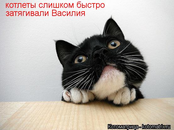 котлеты слишком быстро затягивали Василия... Котоматрица: котлеты слишком быстро затягивали Василия