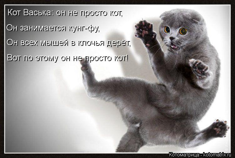 Кот Васька: он не просто кот, Он занимается кунг-фу, Он всех мышей в клочья дерёт, Вот по этому он не... Котоматрица: Кот Васька: он не просто кот, Он занимается кунг-фу, Он всех мышей в клочья дерёт, Вот по этому он не просто кот!