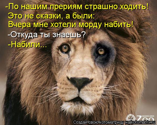 Котоматрица: -По нашим прериям страшно ходить! Это не сказки, а были: Вчера мне хотели морду набить! -Откуда ты знаешь? -Набили...