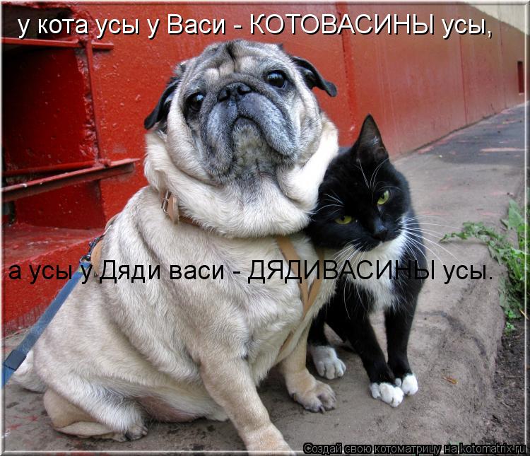 у кота усы у Васи - КОТОВАСИНЫ усы, а усы у Дяди васи - ДЯДИВАСИНЫ усы.... Котоматрица: у кота усы у Васи - КОТОВАСИНЫ усы, а усы у Дяди васи - ДЯДИВАСИНЫ усы.