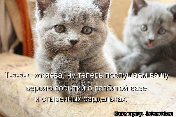 версию событий о разбитой вазе Т-а-а-к, хозяева, ну теперь послушаем вашу и стыренных сардельках.... Котоматрица: версию событий о разбитой вазе Т-а-а-к, хозяева, ну теперь послушаем вашу и стыренных сардельках.