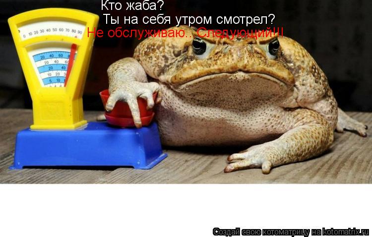 Кто жаба? Ты на себя утром смотрел? Не обслуживаю...Следующий!!!... Котоматрица: Кто жаба? Ты на себя утром смотрел? Не обслуживаю...Следующий!!!