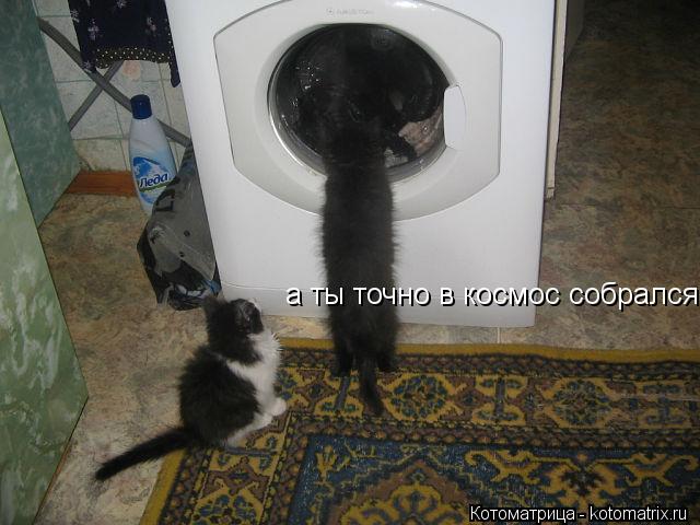 а ты точно в космос собрался... Котоматрица: а ты точно в космос собрался