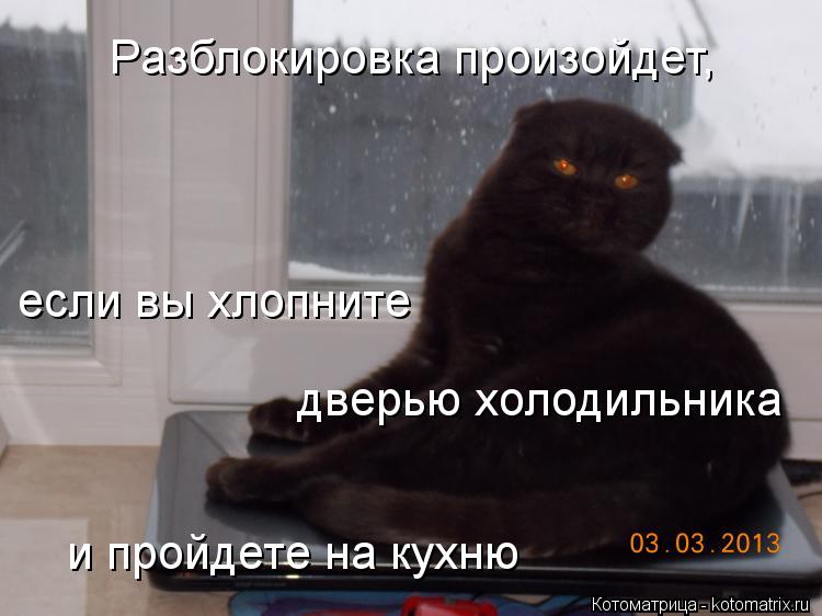 Разблокировка произойдет, если вы хлопните дверью холодильника и пройдете на кухню... Котоматрица: Разблокировка произойдет, если вы хлопните дверью холодильника и пройдете на кухню