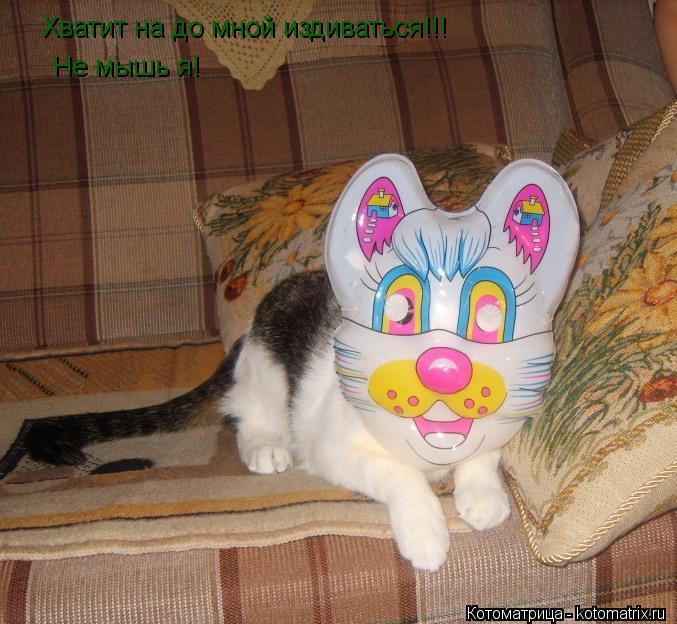 Хватит на до мной издиваться!!! Не мышь я!... Котоматрица: Хватит на до мной издиваться!!! Не мышь я!