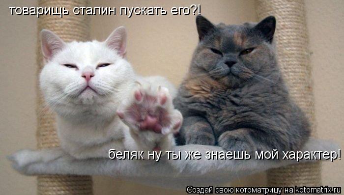 товарищь сталин пускать его?! беляк ну ты же знаешь мой характер!... Котоматрица: товарищь сталин пускать его?! беляк ну ты же знаешь мой характер!