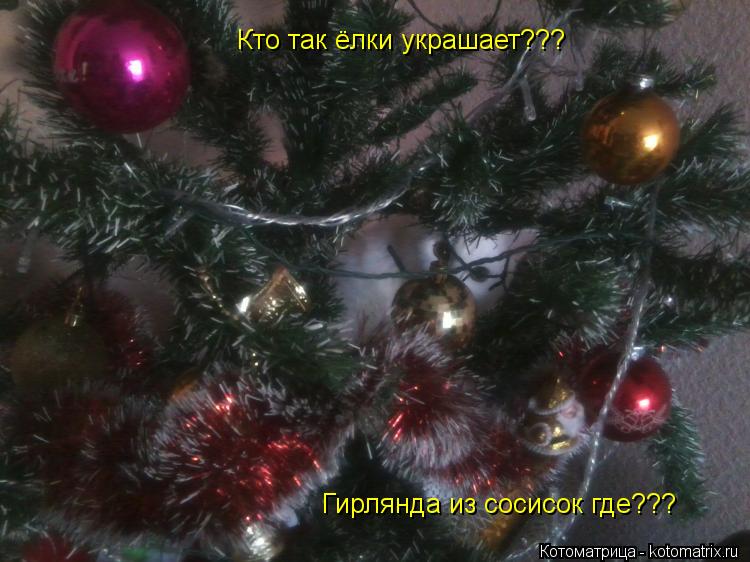 Кто так ёлки украшает??? Гирлянда из сосисок где???... Котоматрица: Кто так ёлки украшает??? Гирлянда из сосисок где???
