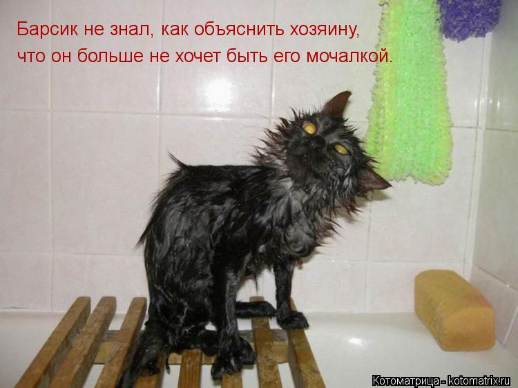 Барсик не знал, как объяснить хозяину, что он больше не хочет быть его мочалкой.... Котоматрица: Барсик не знал, как объяснить хозяину, что он больше не хочет быть его мочалкой.