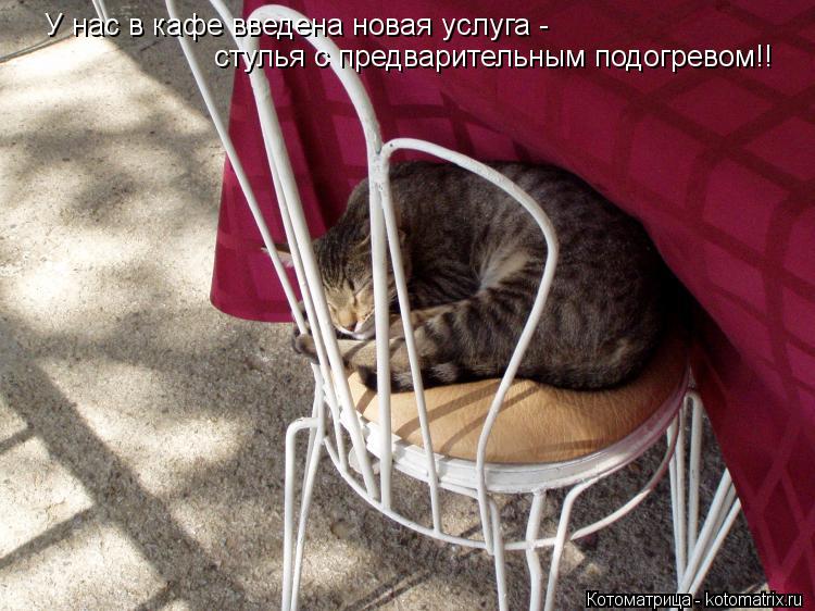 У нас в кафе введена новая услуга - стулья с предварительным подогревом!!... Котоматрица: У нас в кафе введена новая услуга - стулья с предварительным подогревом!!