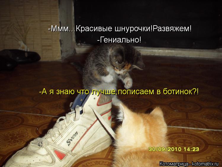 -Ммм...Красивые шнурочки!Развяжем! -А я знаю что лучше,пописаем в ботинок?! -Гениально!... Котоматрица: -Ммм...Красивые шнурочки!Развяжем! -А я знаю что лучше,пописаем в ботинок?! -Гениально!