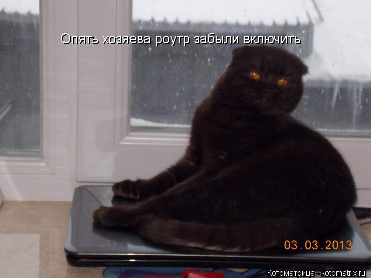 Опять хозяева роутр забыли включить... Котоматрица: Опять хозяева роутр забыли включить