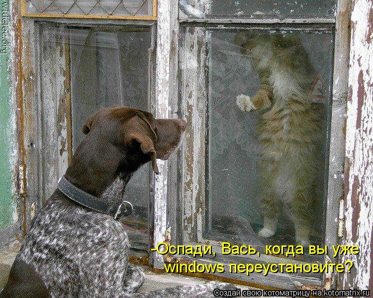 -Оспади, Вась, когда вы уже windows переустановите?... Котоматрица: -Оспади, Вась, когда вы уже windows переустановите?