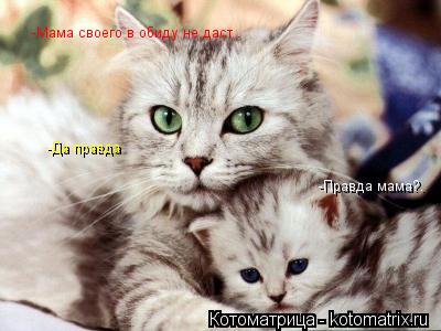 -Мама своего в обиду не даст . -Правда мама?. -Да правда... Котоматрица: -Мама своего в обиду не даст . -Правда мама?. -Да правда