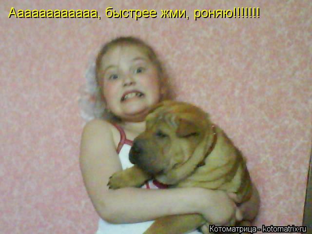 Котоматрица: Аааааааааааа, быстрее жми, роняю!!!!!!!