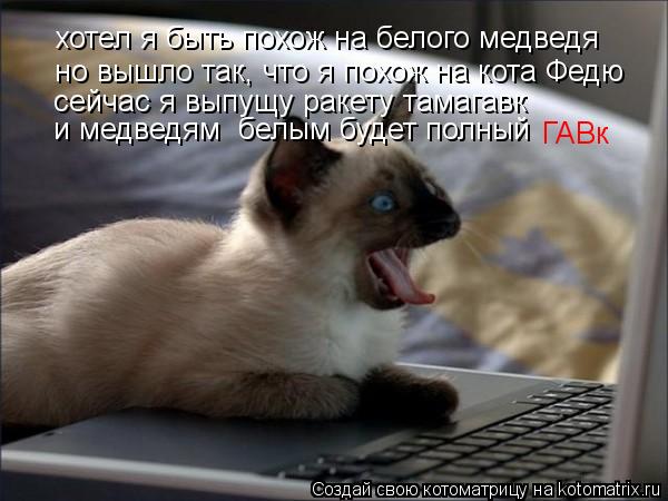 Котоматрица: хотел я быть похож на белого медведя  но вышло так, что я похож на кота Федю сейчас я выпущу ракету тамагавк и медведям  белым будет полный ГА