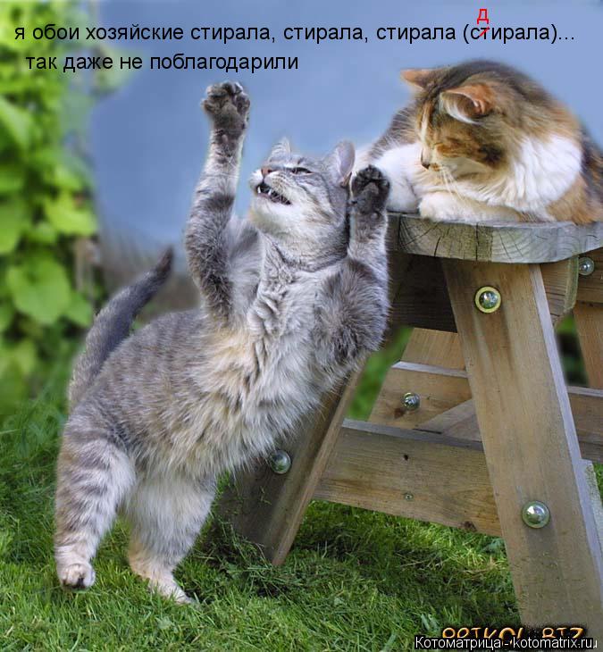 так даже не поблагодарили я обои хозяйские стирала, стирала, стирала (стирала)... д _... Котоматрица: так даже не поблагодарили я обои хозяйские стирала, стирала, стирала (стирала)... д _