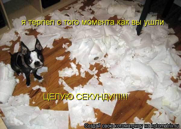 я терпел с того момента как вы ушли ЦЕЛУЮ СЕКУНДУ!!!!!!... Котоматрица: я терпел с того момента как вы ушли ЦЕЛУЮ СЕКУНДУ!!!!!!