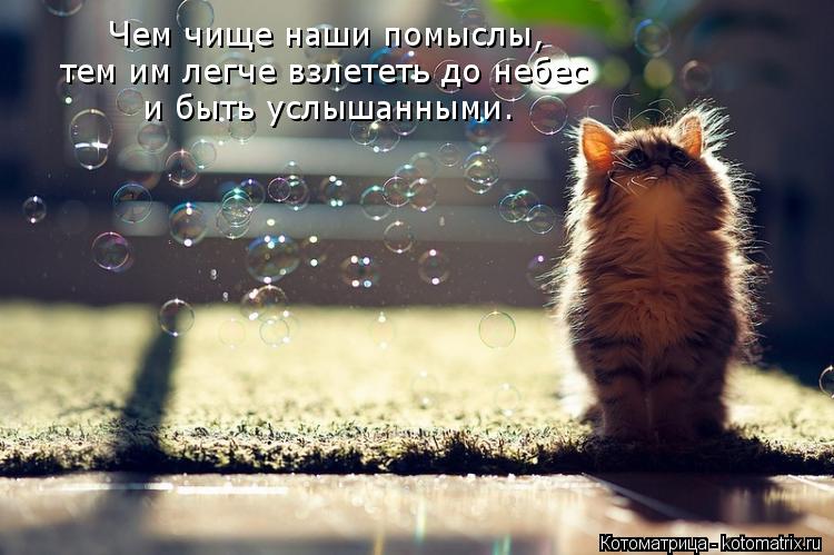 Чем чище наши помыслы, тем им легче взлететь до небес и быть услышанными.... Котоматрица: Чем чище наши помыслы, тем им легче взлететь до небес и быть услышанными.