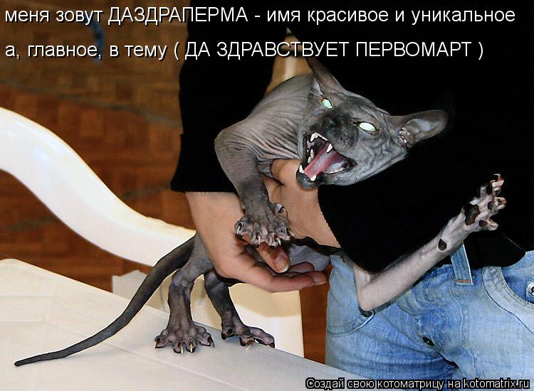 меня зовут ДАЗДРАПЕРМА - имя красивое и уникальное а, главное, в тему ( ДА ЗДРАВСТВУЕТ ПЕРВОМАРТ )... Котоматрица: меня зовут ДАЗДРАПЕРМА - имя красивое и уникальное а, главное, в тему ( ДА ЗДРАВСТВУЕТ ПЕРВОМАРТ )