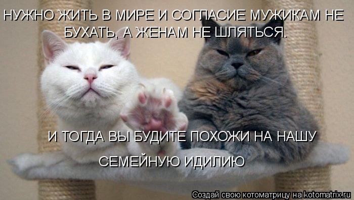 НУЖНО ЖИТЬ В МИРЕ И СОГЛАСИЕ МУЖИКАМ НЕ БУХАТЬ, А ЖЕНАМ НЕ ШЛЯТЬСЯ. И ТОГДА ВЫ БУДИТЕ ПОХОЖИ НА НАШУ ... Котоматрица: НУЖНО ЖИТЬ В МИРЕ И СОГЛАСИЕ МУЖИКАМ НЕ БУХАТЬ, А ЖЕНАМ НЕ ШЛЯТЬСЯ. И ТОГДА ВЫ БУДИТЕ ПОХОЖИ НА НАШУ СЕМЕЙНУЮ ИДИЛИЮ