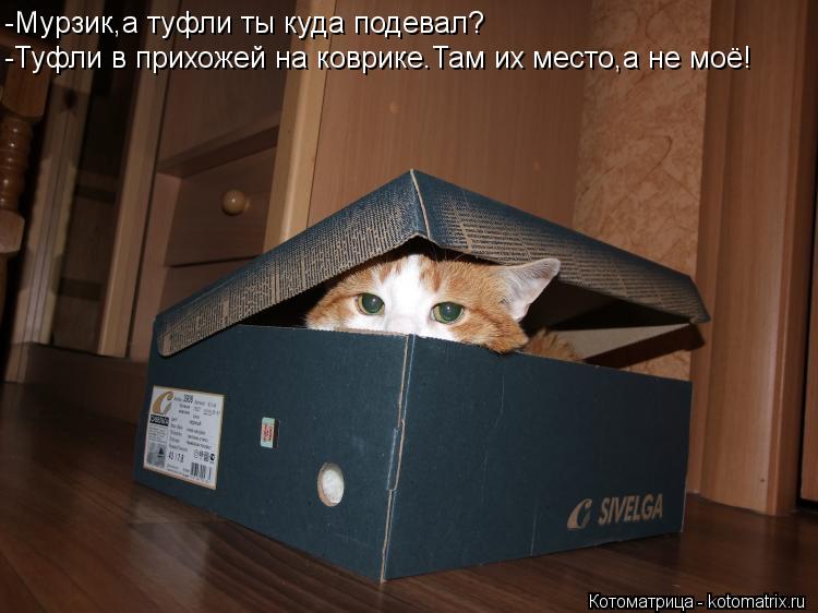 -Мурзик,а туфли ты куда подевал? -Туфли в прихожей на коврике.Там их место,а не моё!... Котоматрица: -Мурзик,а туфли ты куда подевал? -Туфли в прихожей на коврике.Там их место,а не моё!