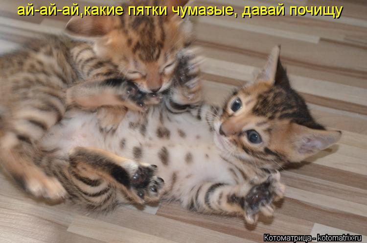 ай-ай-ай,какие пятки чумазые, давай почищу... Котоматрица: ай-ай-ай,какие пятки чумазые, давай почищу