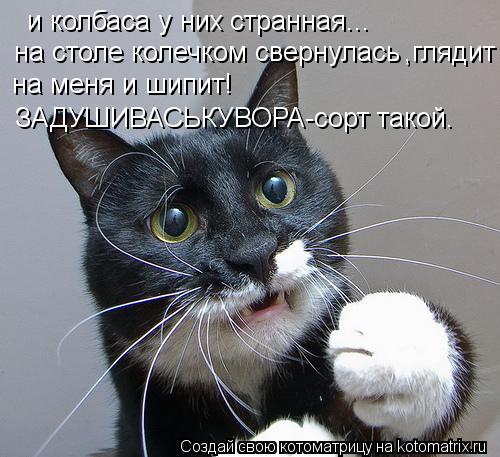 Котоматрица: и колбаса у них странная... на столе колечком свернулась ,глядит на меня и шипит! ЗАДУШИВАСЬКУВОРА-сорт такой.