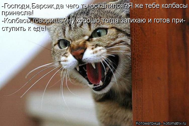 -Господи,Барсик,да чего ты оскалился?Я же тебе колбасы принесла! -Колбасы,говоришь?Ну,хорошо,тогда за... Котоматрица: -Господи,Барсик,да чего ты оскалился?Я же тебе колбасы принесла! -Колбасы,говоришь?Ну,хорошо,тогда затихаю и готов при- ступить к еде!