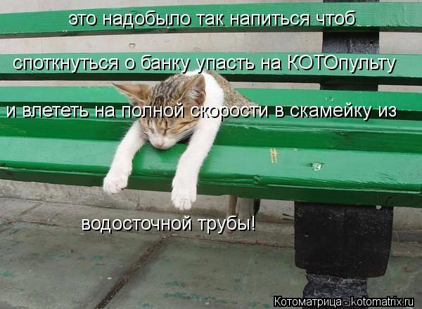 это надобыло так напиться чтоб споткнуться о банку упасть на КОТОпульту и влететь на полной скорости ... Котоматрица: это надобыло так напиться чтоб споткнуться о банку упасть на КОТОпульту и влететь на полной скорости в скамейку из водосточной трубы!