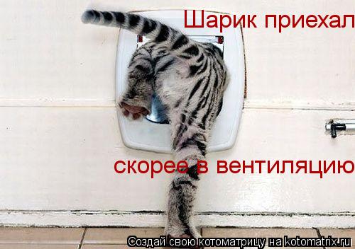Шарик приехал скорее в вентиляцию... Котоматрица: Шарик приехал скорее в вентиляцию