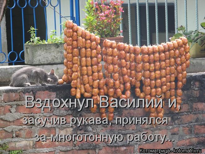 Вздохнул Василий и, засучив рукава, принялся за многотонную работу...... Котоматрица: Вздохнул Василий и, засучив рукава, принялся за многотонную работу...
