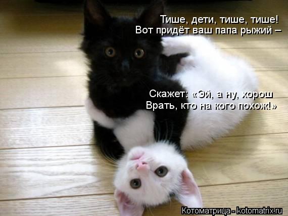 Тише, дети, тише, тише! Вот придёт ваш папа рыжий – Скажет: «Эй, а ну, хорош Врать, кто на кого пох... Котоматрица: Тише, дети, тише, тише! Вот придёт ваш папа рыжий – Скажет: «Эй, а ну, хорош Врать, кто на кого похож!»