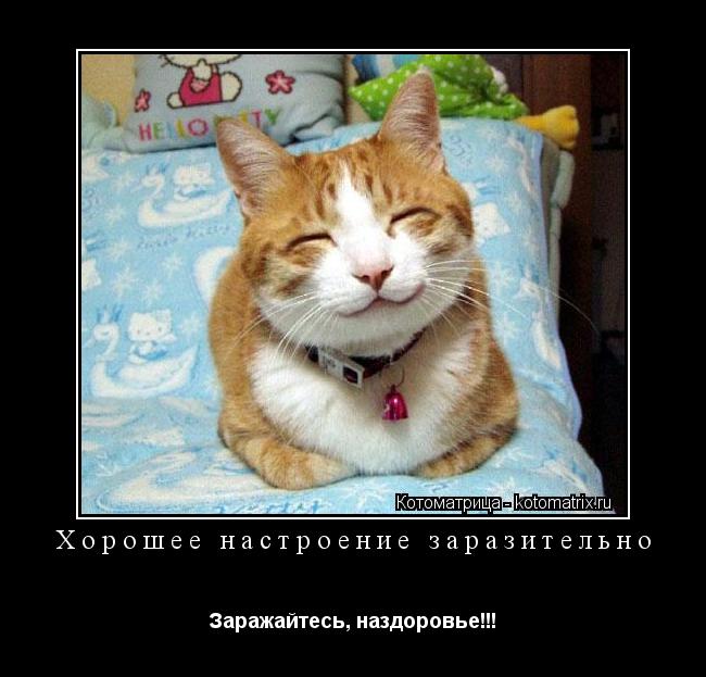 Котоматрица: Хорошее настроение заразительно Заражайтесь, наздоровье!!!