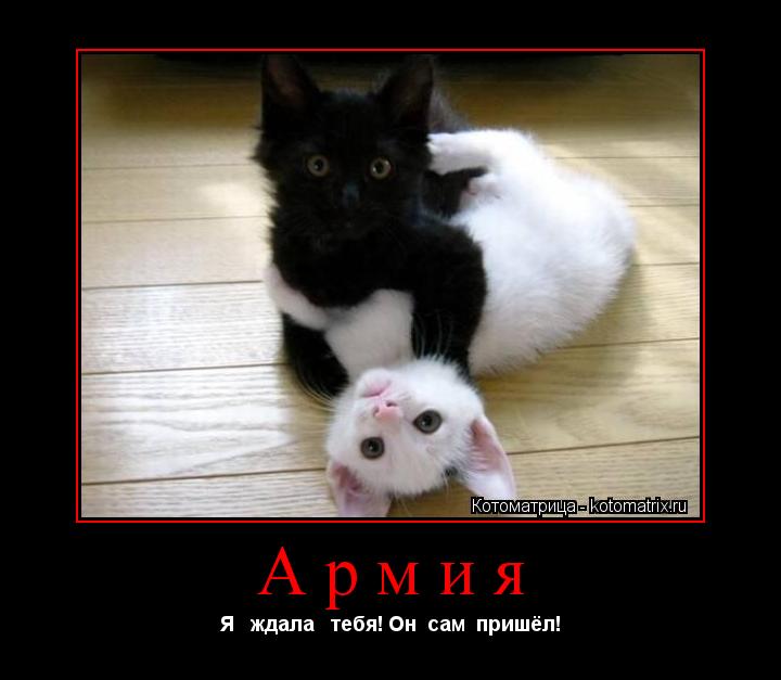 Армия Я ждала тебя! Он сам пришёл!... Котоматрица: Армия Я ждала тебя! Он сам пришёл!