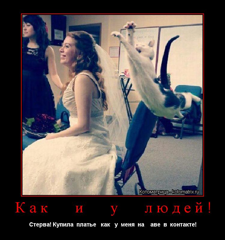 Как и у людей! Стерва! Купила платье как у меня на аве в контакте!... Котоматрица: Как и у людей! Стерва! Купила платье как у меня на аве в контакте!