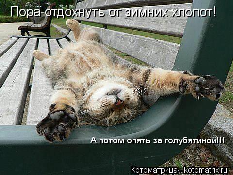 Котоматрица: Пора отдохнуть от зимних хлопот! А потом опять за голубятиной!!!