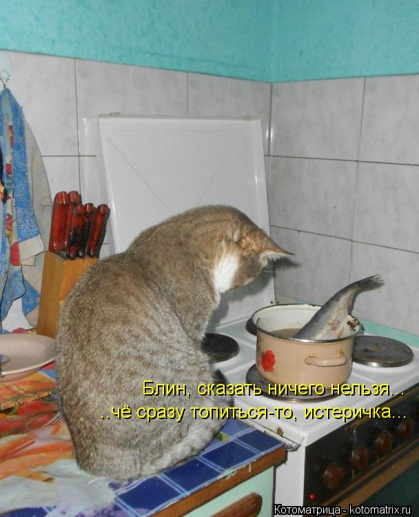 Блин, сказать ничего нельзя... ..чё сразу топиться-то, истеричка...... Котоматрица: Блин, сказать ничего нельзя... ..чё сразу топиться-то, истеричка...