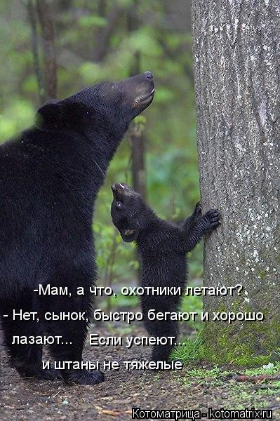 -Мам, а что, охотники летают? - Нет, сынок, быстро бегают и хорошо лазают... Если успеют... и штаны ... Котоматрица: -Мам, а что, охотники летают? - Нет, сынок, быстро бегают и хорошо лазают... Если успеют... и штаны не тяжелые