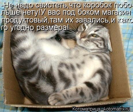 Котоматрица: -Не надо свистеть,что коробок побо- льше нету!У вас под боком магазин продуктовый,там их завались,и како- го угодно размера!