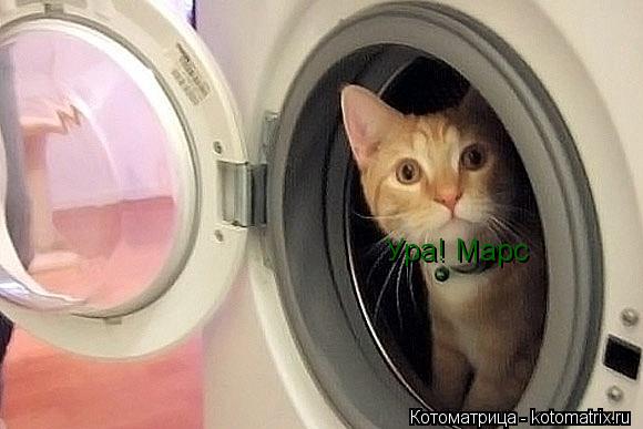 Котоматрица: Ура! Марс