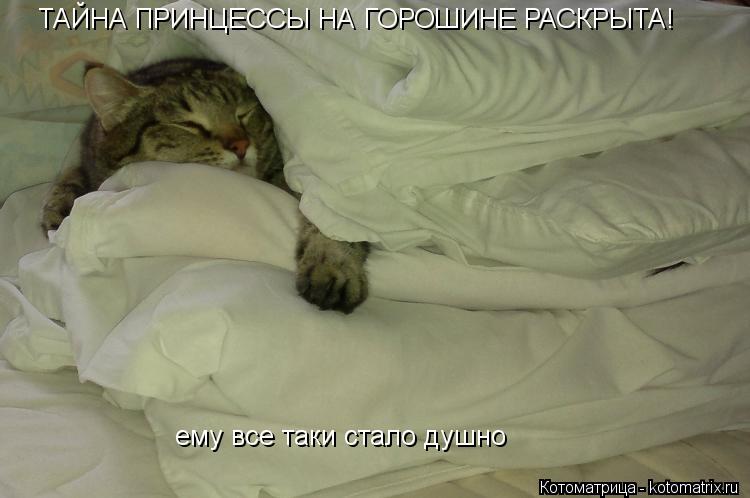 Котоматрица: ТАЙНА ПРИНЦЕССЫ НА ГОРОШИНЕ РАСКРЫТА! ему все таки стало душно