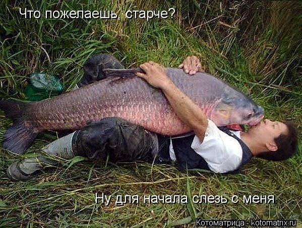 Котоматрица: Что пожелаешь, старче? Ну для начала слезь с меня